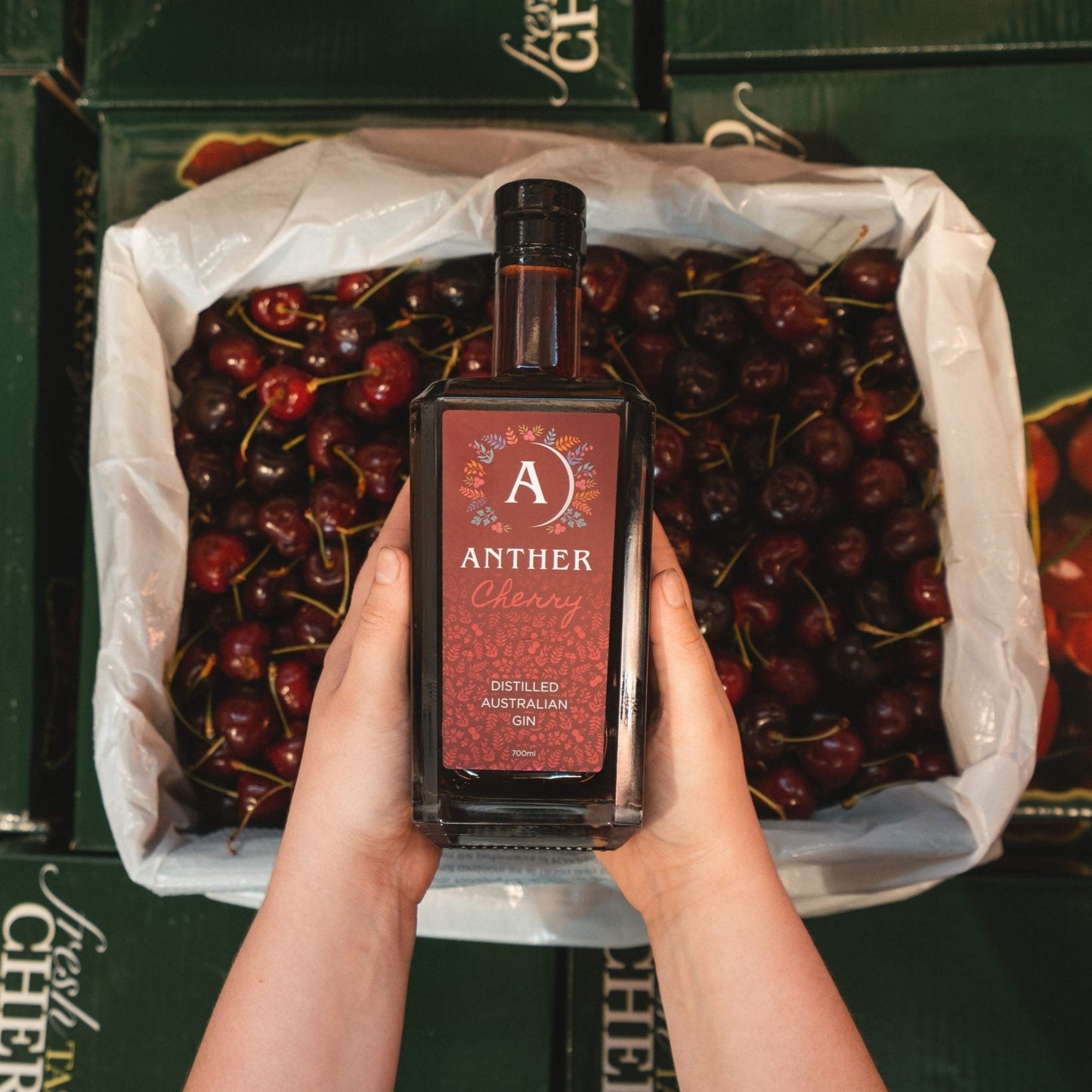 Anther: Cherry Gin