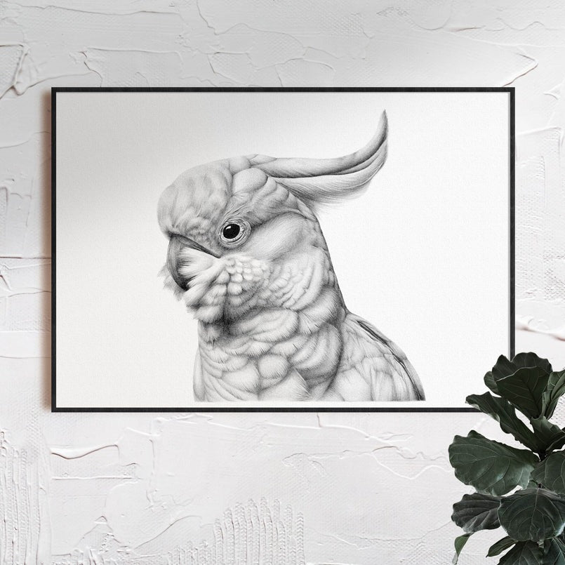 Brittany March: Limited Edition Print: A3 Cockatoo